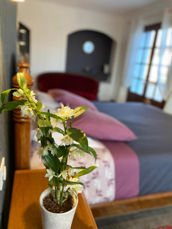 Bed and Breakfast Domaine De La Provencale Saint-Didier-de-la-Tour Экстерьер фото